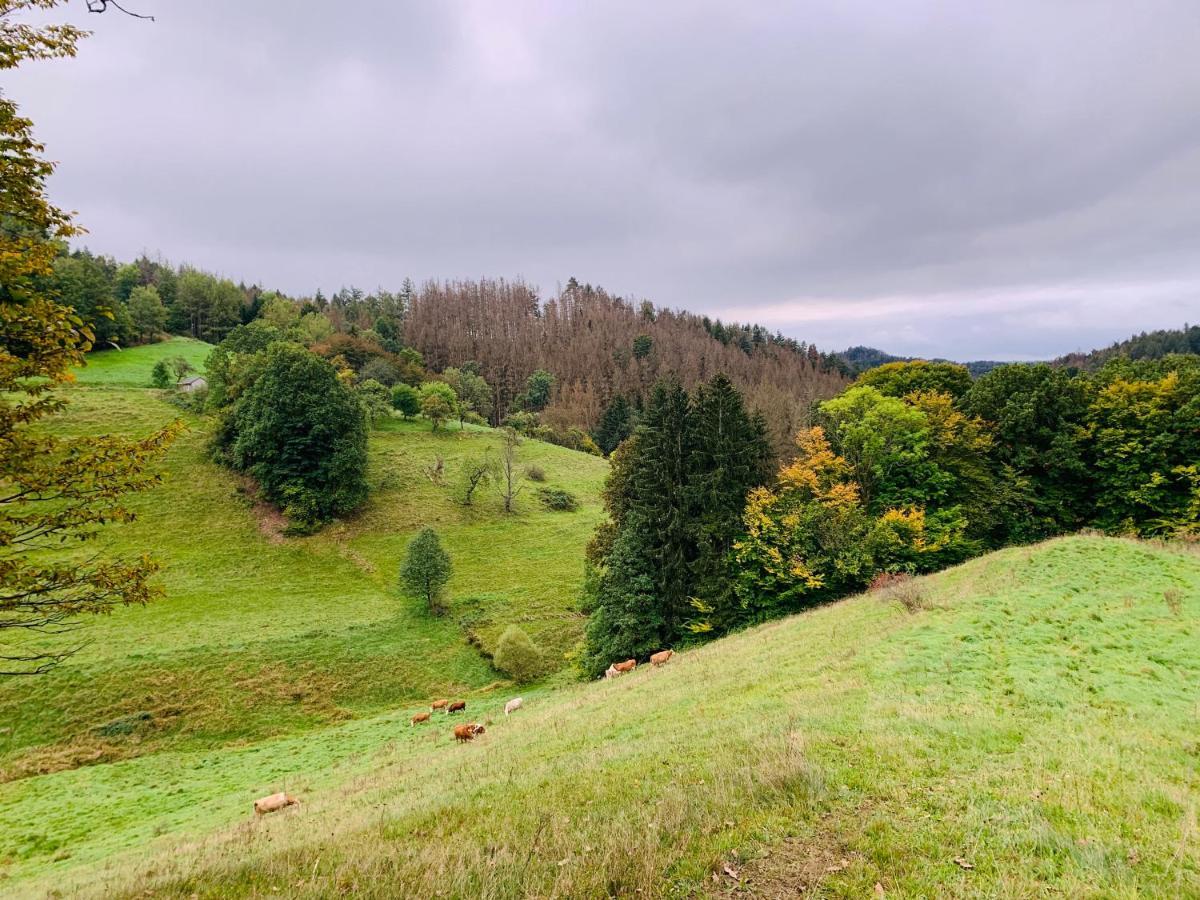 Naturhof Kluge Saupsdorf エクステリア 写真