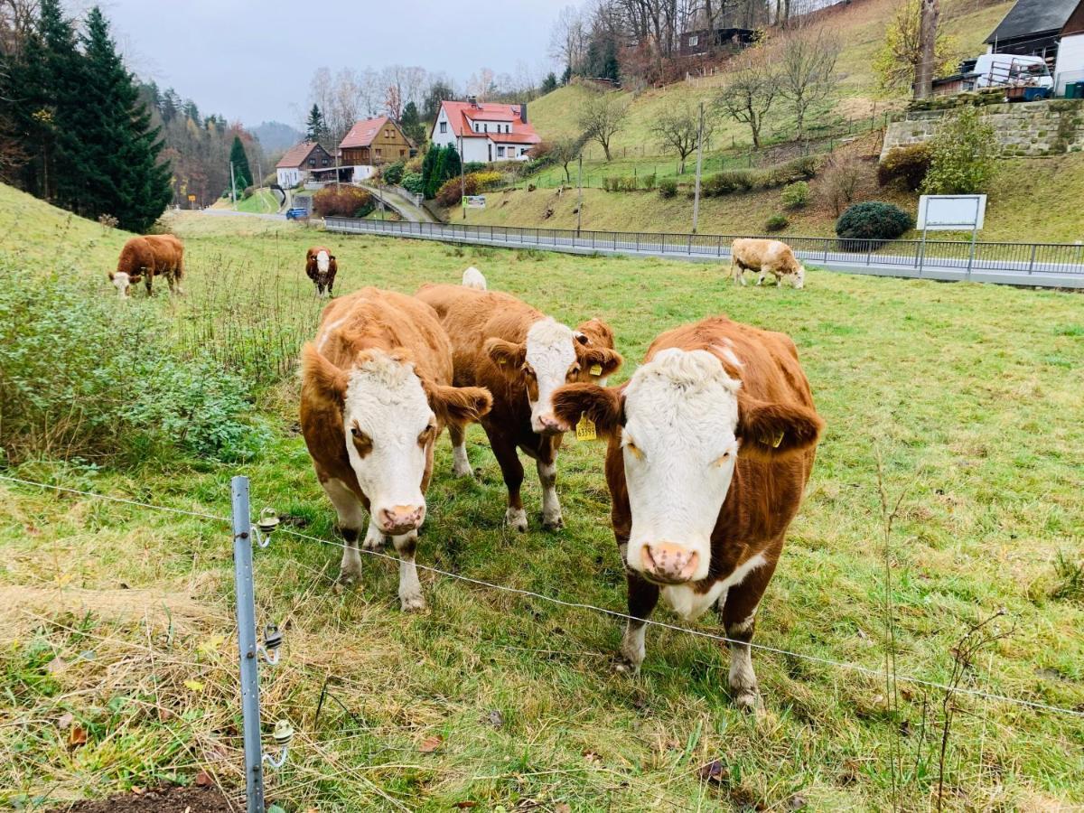 Naturhof Kluge Saupsdorf エクステリア 写真