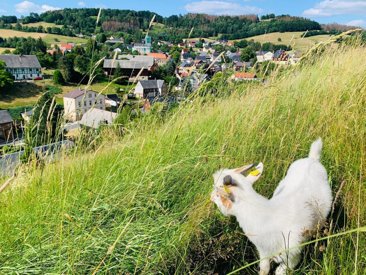 Naturhof Kluge Saupsdorf エクステリア 写真