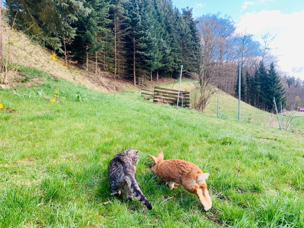 Naturhof Kluge Saupsdorf エクステリア 写真