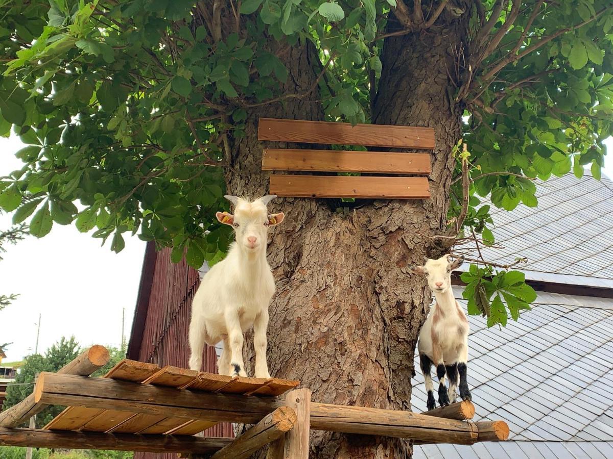 Naturhof Kluge Saupsdorf エクステリア 写真