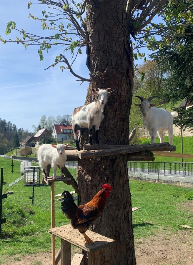 Naturhof Kluge Saupsdorf エクステリア 写真